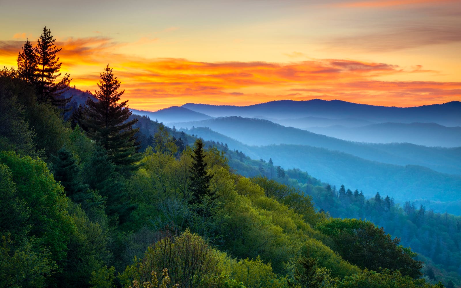 Great Smoky Mountains National Park